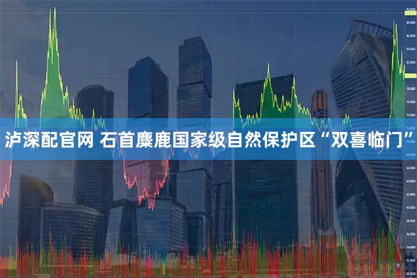 泸深配官网 石首麋鹿国家级自然保护区“双喜临门”