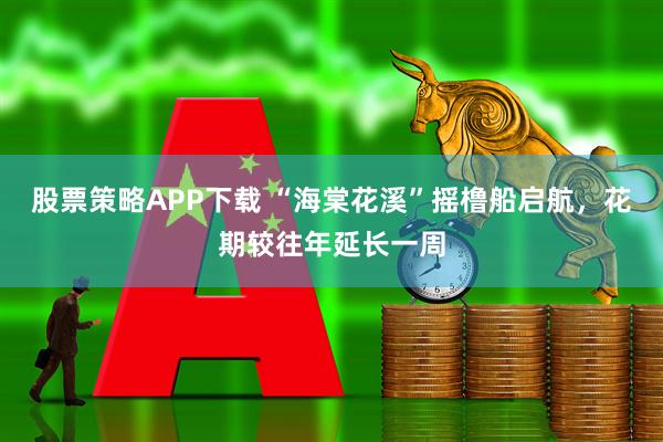 股票策略APP下载 “海棠花溪”摇橹船启航，花期较往年延长一周