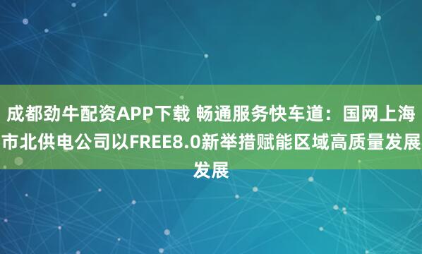 成都劲牛配资APP下载 畅通服务快车道：国网上海市北供电公司以FREE8.0新举措赋能区域高质量发展