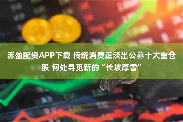 赤盈配资APP下载 传统消费正淡出公募十大重仓股 何处寻觅新的“长坡厚雪”
