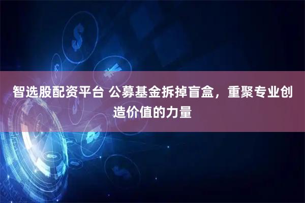 智选股配资平台 公募基金拆掉盲盒，重聚专业创造价值的力量